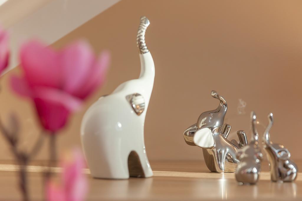 Apartamenty Galeria Jordanowska Dış mekan fotoğraf